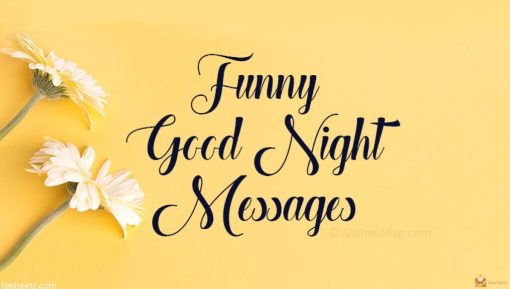Funny Goodnight Text for Her