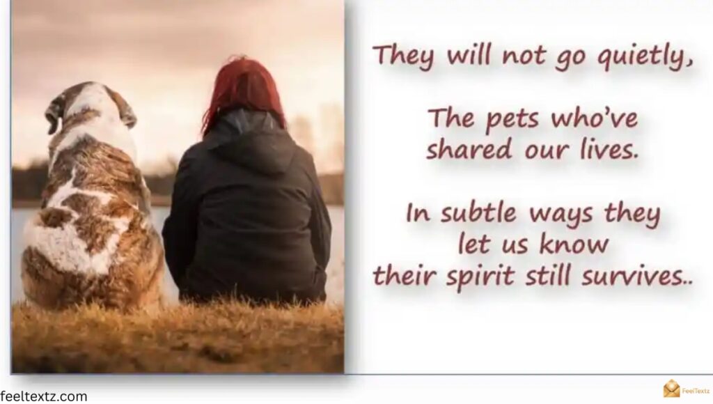 Short Message for Loss of Pet Rainbow Bridge