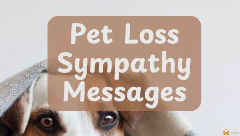 100+ Short Message for Loss of Pet, Comfort Words 2026