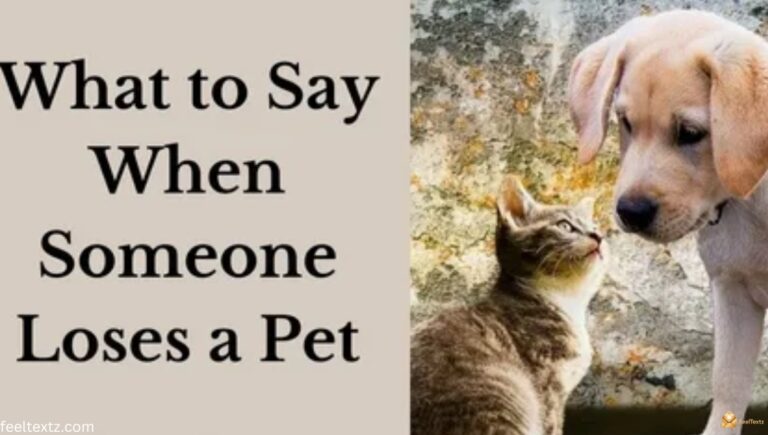 200+ Loss of Pet Message Ideas & Quotes (2026)