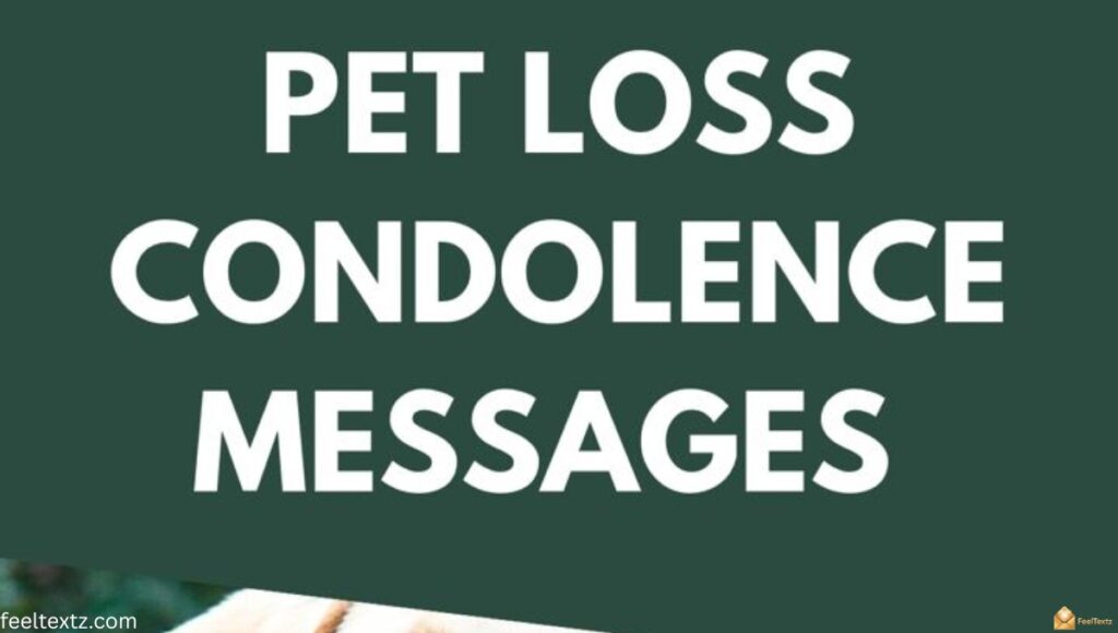 Loss of Pet Message to a Friend